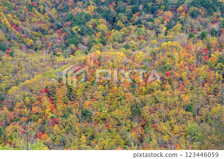日光的紅葉季節：觀賞染成紅色和黃色的山脈的絕妙景點 123446059