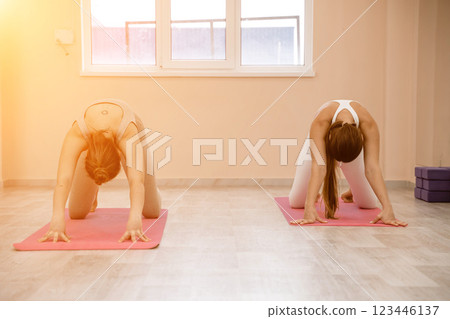 Two beautiful women do yoga, sports in the gym. The concept of grace and beauty of the body. Two beautiful women do yoga, sports in the gym. The concept of grace and beauty of the body. 123446137