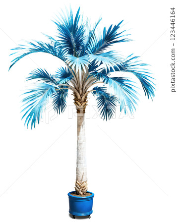 Bismarck Palm Tree, silver-blue leaves, dramatic top lighting, professional product photography, premium advertising style Bismarck Palm Tree, silver-blue leaves, dramatic top lighting, professional product photography, premium advertising style 123446164