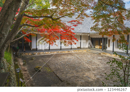 田原市博物館和田原城遺址的紅葉(愛知縣) 田原市博物館和田原城遺址的紅葉(愛知縣) 123446267