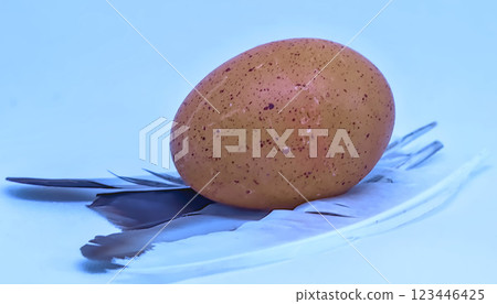 free-range hen's egg 123446425