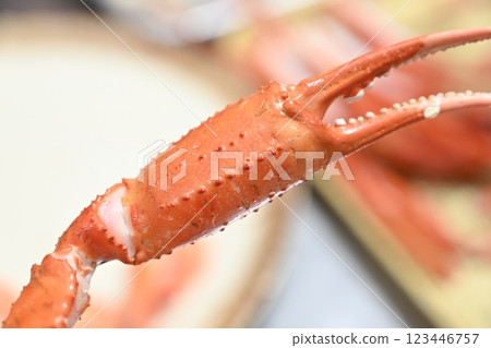Korean seafood. red snow crab 123446757