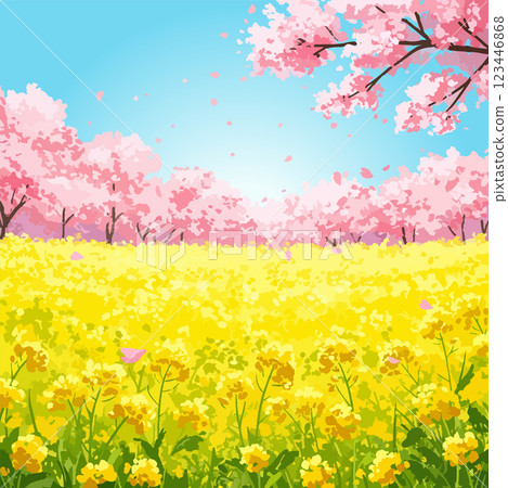 Spring landscape with cherry blossoms and rape blossoms, vector material 123446868