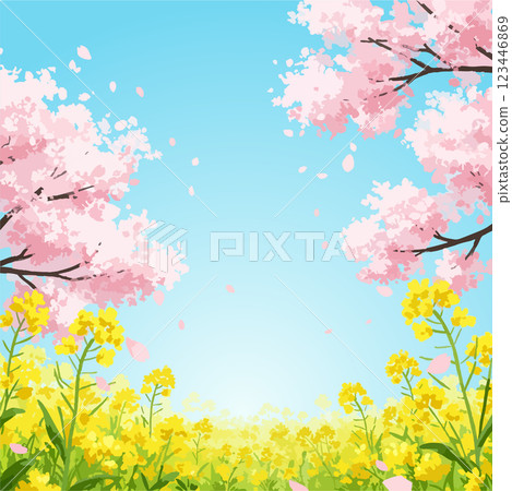 Spring landscape with cherry blossoms and rape blossoms, vector material Spring landscape with cherry blossoms and rape blossoms, vector material 123446869