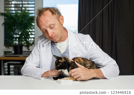 Domestic cat pet and vet with diagnostic test in veterinary clinic Domestic cat pet and vet with diagnostic test in veterinary clinic 123446918