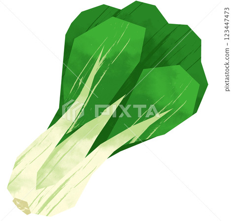 剪紙風格小白菜 123447473