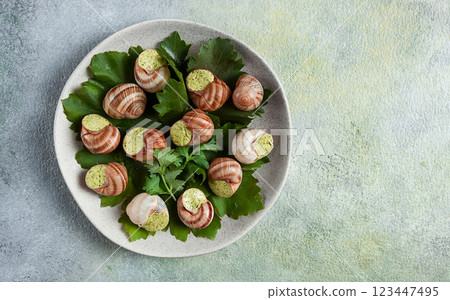 grape snails , stuffed in burgundy, french cuisine, 123447495