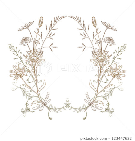 Field, meadow, wild flowers and herbs chamomile, meadow bluegrass and dragonfly. Line art is a simple hand-drawn illustration in beige, ochre, brown ink. Circle wreath frame vector EPS Field, meadow, wild flowers and herbs chamomile, meadow bluegrass and dragonfly. Line art is a simple hand-drawn illustration in beige, ochre, brown ink. Circle wreath frame vector EPS 123447622