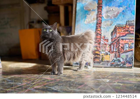 A Charming Feline Captured in an Artistic Studio Environment of Creativity and Inspiration A Charming Feline Captured in an Artistic Studio Environment of Creativity and Inspiration 123448514