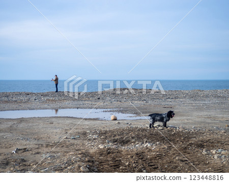 Leveling the ground on the beach. A man walks with a dog along the muddy shore. Leveling the ground on the beach. A man walks with a dog along the muddy shore. 123448816
