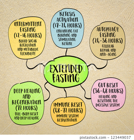 Extended fasting - stages and health benefits. Mind map infographics sketch. 123449037