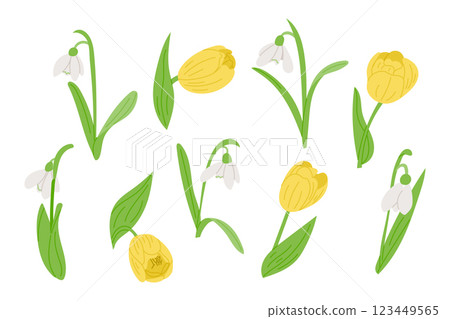 Spring floral set with yellow tulips and white snowdrops 123449565