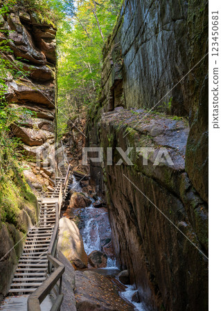 wooden walkway and path in the canyon of Flume Gorge in the Franconia Notch State Park, New Hampshire 123450681