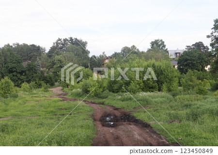 countryside dirt road in to the forest. green nature landscape in summer. countryside dirt road in to the forest. green nature landscape in summer. 123450849