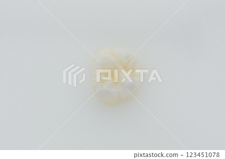 High-quality zirconia dental crown on white background. Dental ceramic crown professional dental lab High-quality zirconia dental crown on white background. Dental ceramic crown professional dental lab 123451078