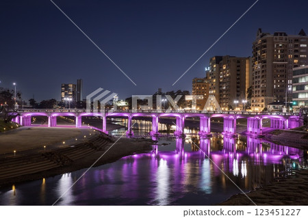 Night view of Tonobashi, Okazaki City 123451227