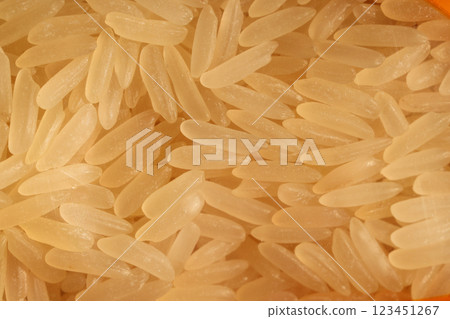 CloseUp View of Uncooked White Rice Grains in Detail, Capturing Their Unique Texture 123451267