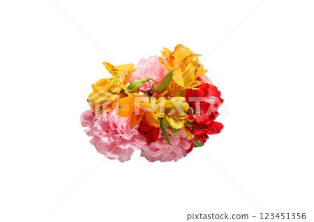 康乃馨和六出花束 康乃馨和六出花束 123451356