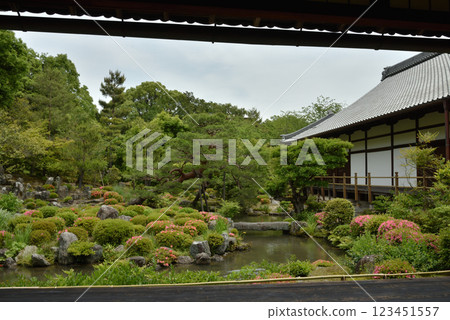 同持院、北條北庭園、芙蓉池的春天（京都市北區） 123451557