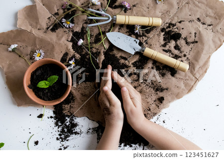 Childs hands planting in soil with garden tools and flowers on brown paper 123451627