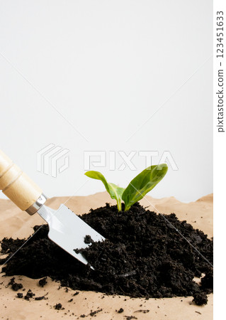 Gardening basics. Young plant seedling with trowel in rich soil Gardening basics. Young plant seedling with trowel in rich soil 123451633