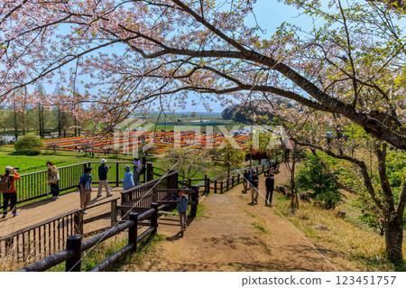 Observation Deck, Akebonoyama Agricultural Park, Kashiwa City, Chiba Prefecture Observation Deck, Akebonoyama Agricultural Park, Kashiwa City, Chiba Prefecture 123451757