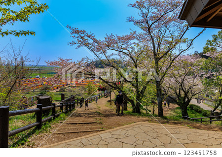 千葉縣柏市曙山農業公園觀景台 123451758