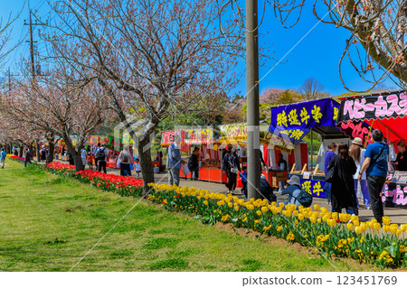 Tulips and food stalls at Akebonoyama Agricultural Park in Kashiwa City, Chiba Prefecture Tulips and food stalls at Akebonoyama Agricultural Park in Kashiwa City, Chiba Prefecture 123451769