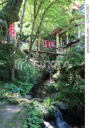 龍造寺的橋 龍造寺的橋 123451867