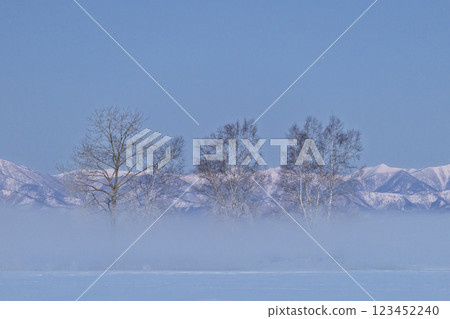 冬天的十勝平原 冬天的十勝平原 123452240