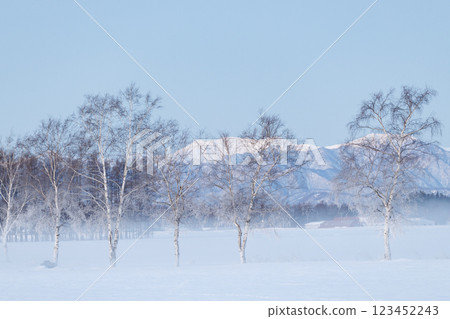 Winter's Tokachi plain 123452243