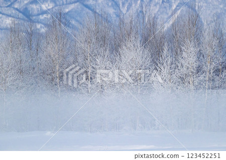 Winter's Tokachi plain 123452251