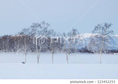 Winter's Tokachi plain 123452253
