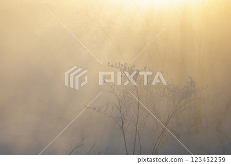 Rime and air storm Rime and air storm 123452259
