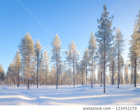 Lapland, Finland. Winter landscape in the forest. Trees covered with snow. Lapland, Finland. Winter landscape in the forest. Trees covered with snow. 123452279