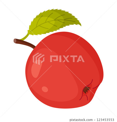 Red ripe apple with leaf, fresh garden fruit. Hand drawn food clipart. Whole fruit  123453553