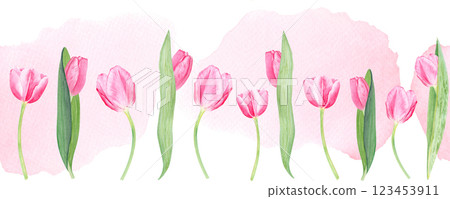 Tulip seamless watercolor border on pink watercolor background. Hand painted pink flower illustration. High quality clip art perfect for mother's, women's day cards, banners, packaging, decor, eco Tulip seamless watercolor border on pink watercolor background. Hand painted pink flower illustration. High quality clip art perfect for mother's, women's day cards, banners, packaging, decor, eco 123453911