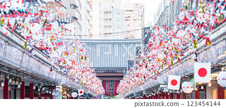 從淺草寺仲見世看到的「東京」雷門 123454144