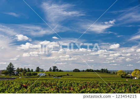 法國聖艾美隆秋季葡萄園 法國聖艾美隆秋季葡萄園 123454215