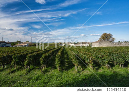 Saint-Emilion vineyards in autumn, France Saint-Emilion vineyards in autumn, France 123454218