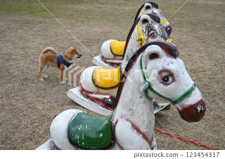 Lined up and snapped 123454317