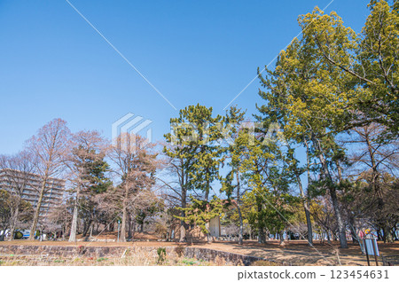 Zeze Castle Ruins Park, Otsu City, Shiga Prefecture 123454631