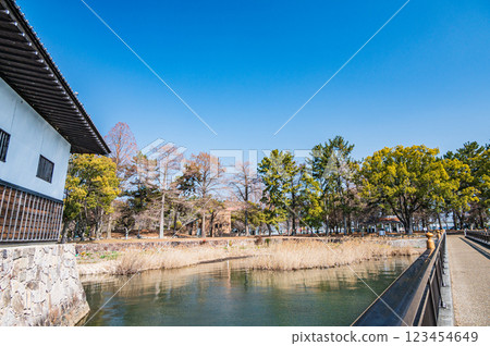 滋賀縣大津市瀨澤城跡公園 123454649