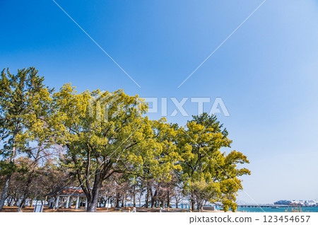Zeze Castle Ruins Park, Otsu City, Shiga Prefecture Zeze Castle Ruins Park, Otsu City, Shiga Prefecture 123454657