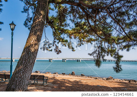 Zeze Castle Ruins Park, Otsu City, Shiga Prefecture 123454661