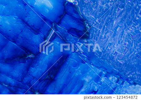 水晶檸檬酸 123454872