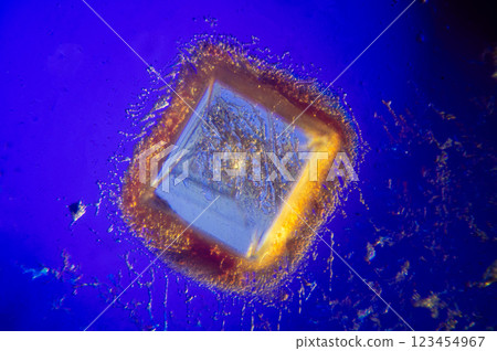 Crystal hydroquinone Crystal hydroquinone 123454967