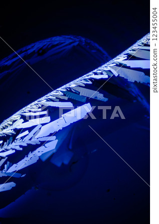 水晶檸檬酸 123455004