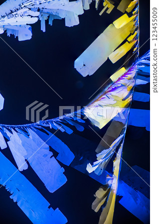 Crystal citric acid 123455009