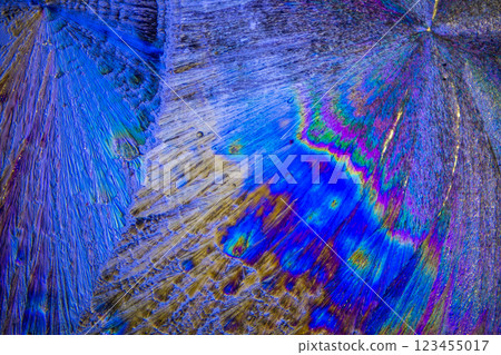 結晶維生素C. 123455017